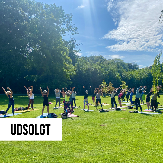 20. juli 2025 - Nelle's Sommer Yoga & Kaffe